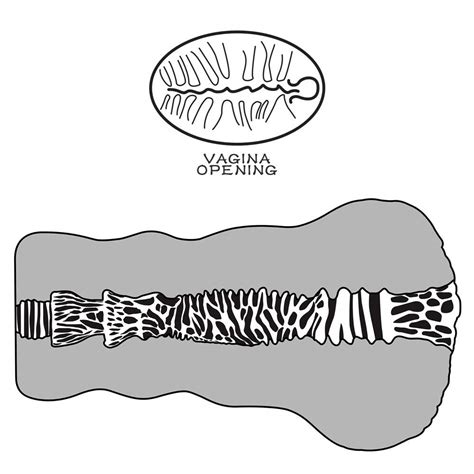 Masturbador feito em Cyberskin Vagina Alien s Pie Lolla Sex Shop Online Tudo para Saúde e