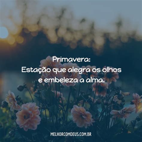 Frases E Mensagens Sobre A Primavera Melhor Deus