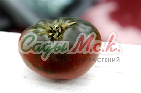 Купить Семена Томат (помидор) Черный жемчуг от 75 руб.
