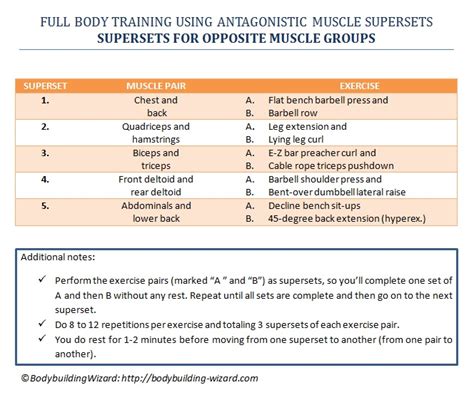 Antagonistic Muscle Definition Diet