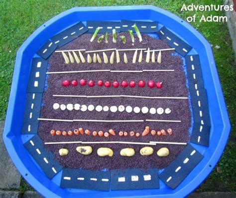 Harvest Tuff Spot 1000 Vegetable Harvest Food Themes Harvest Eyfs