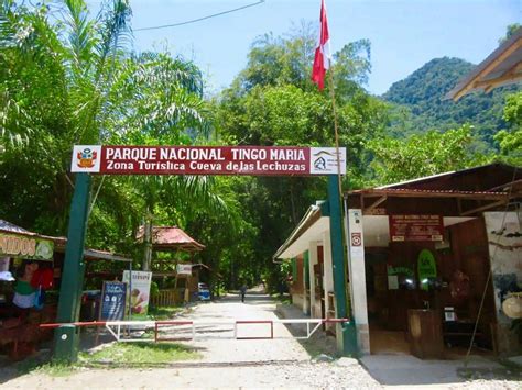 Parque Nacional Tingo Mar A Busca Distinci N Tur Stica Internacional