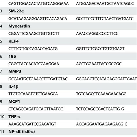 Real Time Pcr Primer Sequences Download Table