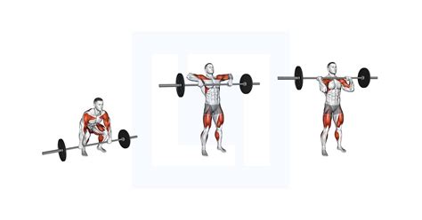 Dumbbell Power Clean - Guide, Benefits, and Form