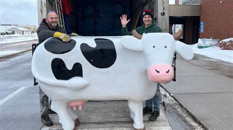 Cow Statue At Charlottetown Airport Sent Packing Cbc News