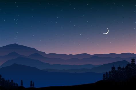 Ilustraci N De Paisaje Nocturno De Bosque Y Monta A Vector Premium