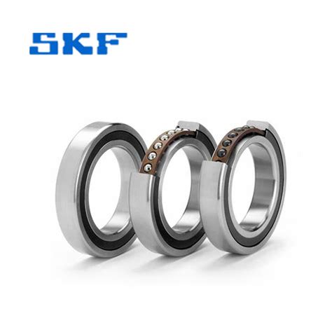 6014/HC5C3_SKF_Shanghai Ruomi Bearing Co., Ltd.