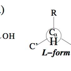 1: (a) Arrangement of different atoms in the amino acid backbone. Main... | Download Scientific ...