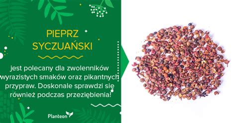 Pieprz Syczua Ski W A Ciwo Ci I Zastosowanie Blog Planteon Pl