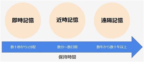 記憶力を上げる方法とは？ 低下の原因や効果的なトレーニング法を紹介sompo笑顔倶楽部