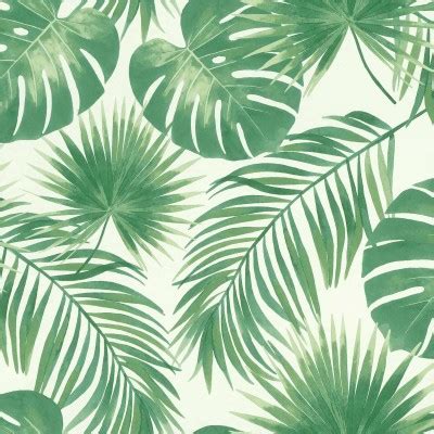 Download Light Green Leaves Background - Teahub.io