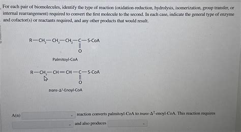 Solved For Each Pair Of Biomolecules Identify The Type Of Chegg