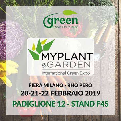 Green Ravenna Presente A Myplant Garden Green Ravenna