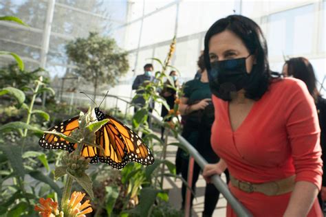 Montreals New Insectarium Features Free Flying Butterflies An