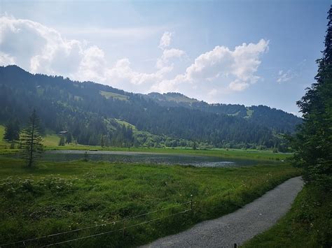 Iffigenalp Wildhornh Tte Lauenensee Fotos Hikr Org