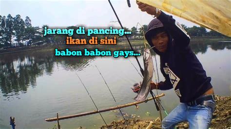 Jarang Di Pancing Ikan Lele Nya Babon Babon Imamftchanel YouTube