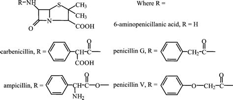 Generalised Penicillin Structure Showing The B Lactam And Thiazolidine