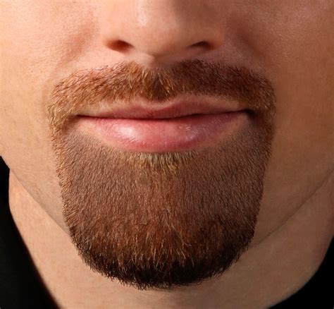 Great Goatee Beard No Mustache Goatee Beard Goatee Styles