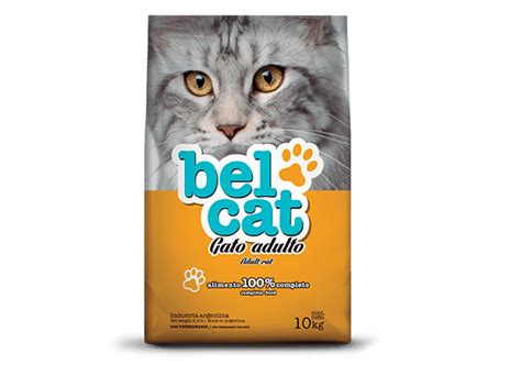 Belcat - Vitalcan