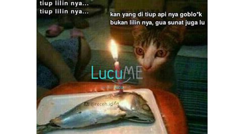 13 Meme 'Kucing' Ini Lucu Banget Bikin Gemes Campur Ngakak