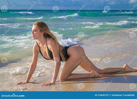 Tanned Slim Bikini Model On Beach Vacation Girl In Swimsuit Bikini At Sea Stock Image Image