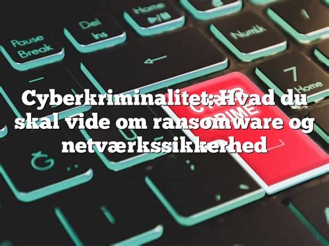 Cyberkriminalitet Hvad Du Skal Vide Om Ransomware Og Netv Rkssikkerhed