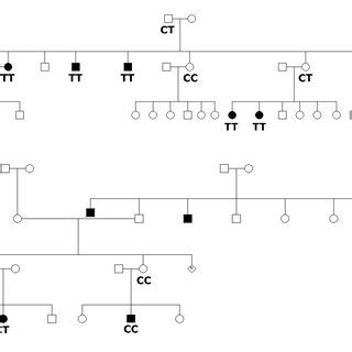 Pedigrees And Genotypes Of Familial Cases From Adamorobe A