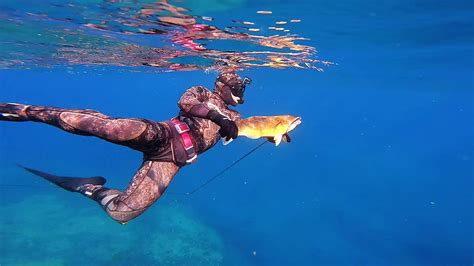 Freediving North Stradbroke Island Youtube