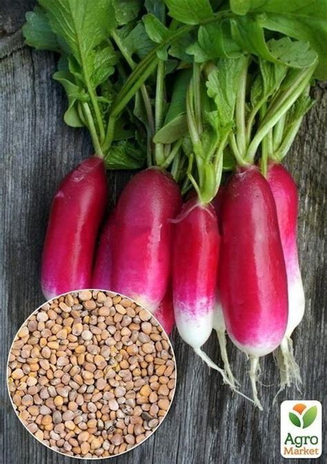 На развес Редис "18 дней" ТМ "Весна" цена за 10г купить почтой в Одессе ...