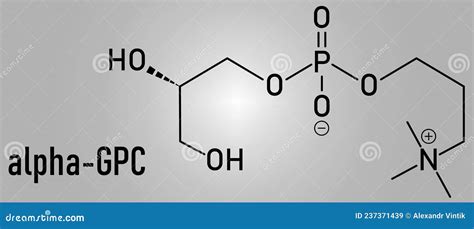 Alpha Gpc Or L Alpha Glycerylphosphorylcholine Choline Alfoscerate