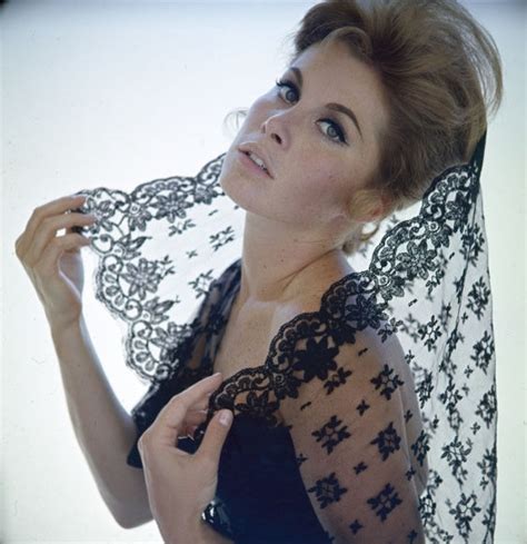 Picture Of Stefanie Powers