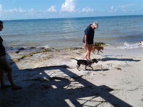 Dog Beach (Key West) in Key West, FL (2020 Photos, Reviews, Info, Map ...