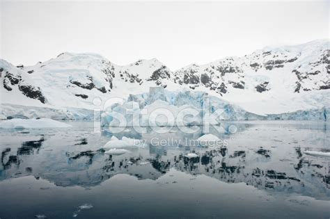 Paradise Bay, Antarctica Stock Photo | Royalty-Free | FreeImages