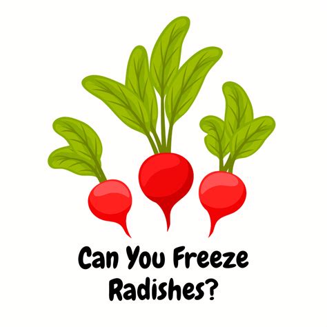 Preserving Crispness: Can You Freeze Radishes?