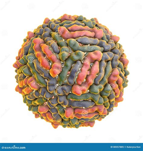 West Nile Virus Royalty-Free Illustration | CartoonDealer.com #80556873