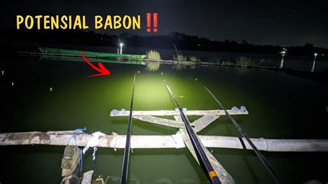 Spot Ini Full Babon Mancing Nila Malam Hari Spot Lapak Randu