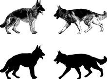 Dog German Shepherd Silhouette Free Stock Photo - Public Domain Pictures