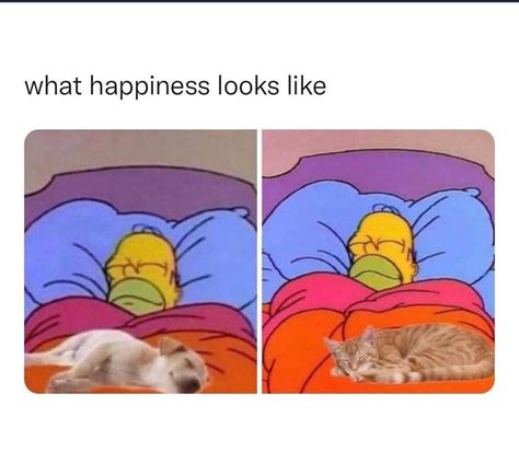 Happiness is the best feeling ever :) | /r/wholesomememes | Wholesome ...