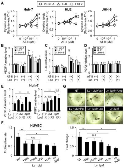 Cells Free Full Text The Angiotensin Ii Receptor Blocker Losartan