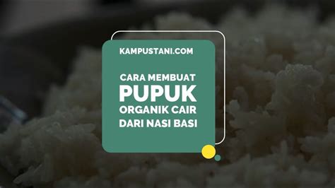 Cara Membuat Pupuk Organik Cair Dari Nasi Basi Kampus Tani YouTube