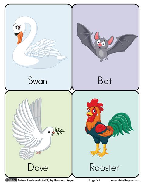 Birds Flashcards | Free Printable Papercraft Templates