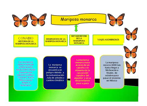 Mariposas