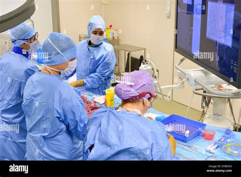 Examen Cardiovasculaire Banque De Photographies Et Dimages Haute