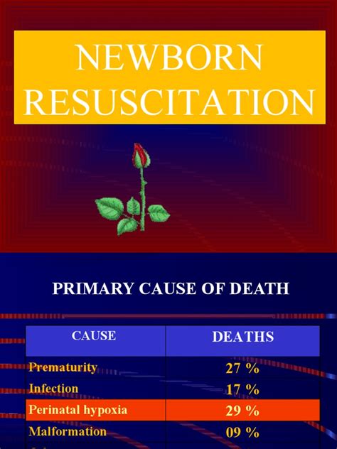 Neonatal Resuscitation | PDF