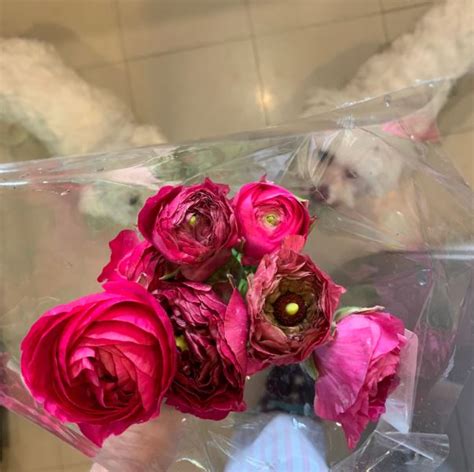 My Flower Addiction - Thrive Global
