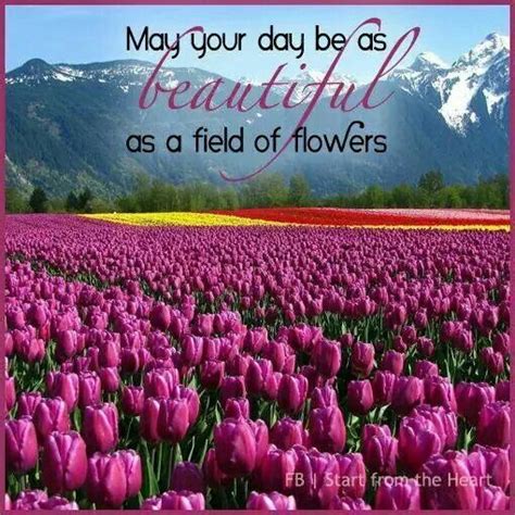 Enjoy each day | Flower field, Flower quotes, Quotes about flowers blooming