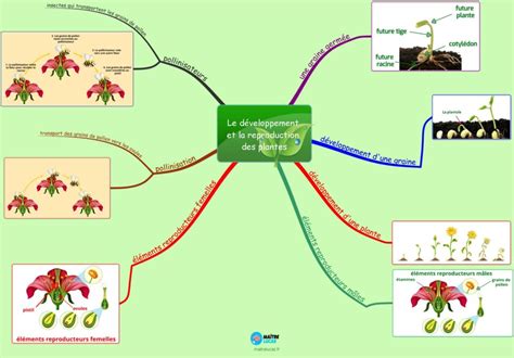 Décrypter 53 imagen carte mentale rechauffement climatique fr