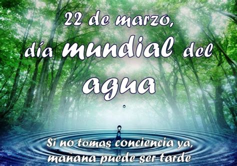 Tarjetas Con Frases Del De Marzo D A Mundial Del Agua Im Genes