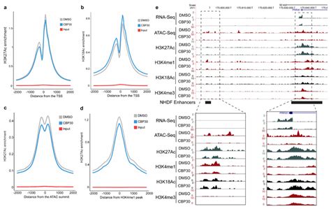 Bromodomain Inhibition Of The Coactivators Cbp Ep300 Facilitate Cellular Reprogramming Pmc