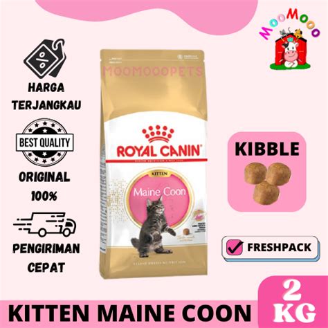 Jual Royal Canin Kitten Maine Coon Kg Makanan Kucing Mainecoon